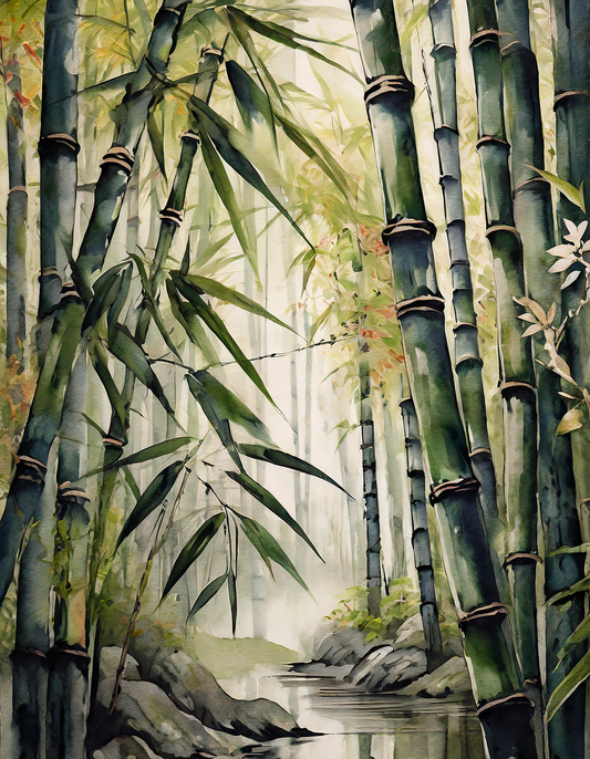 5 Reasons Why You Need to Switch to Bamboo Toilet Paper Now