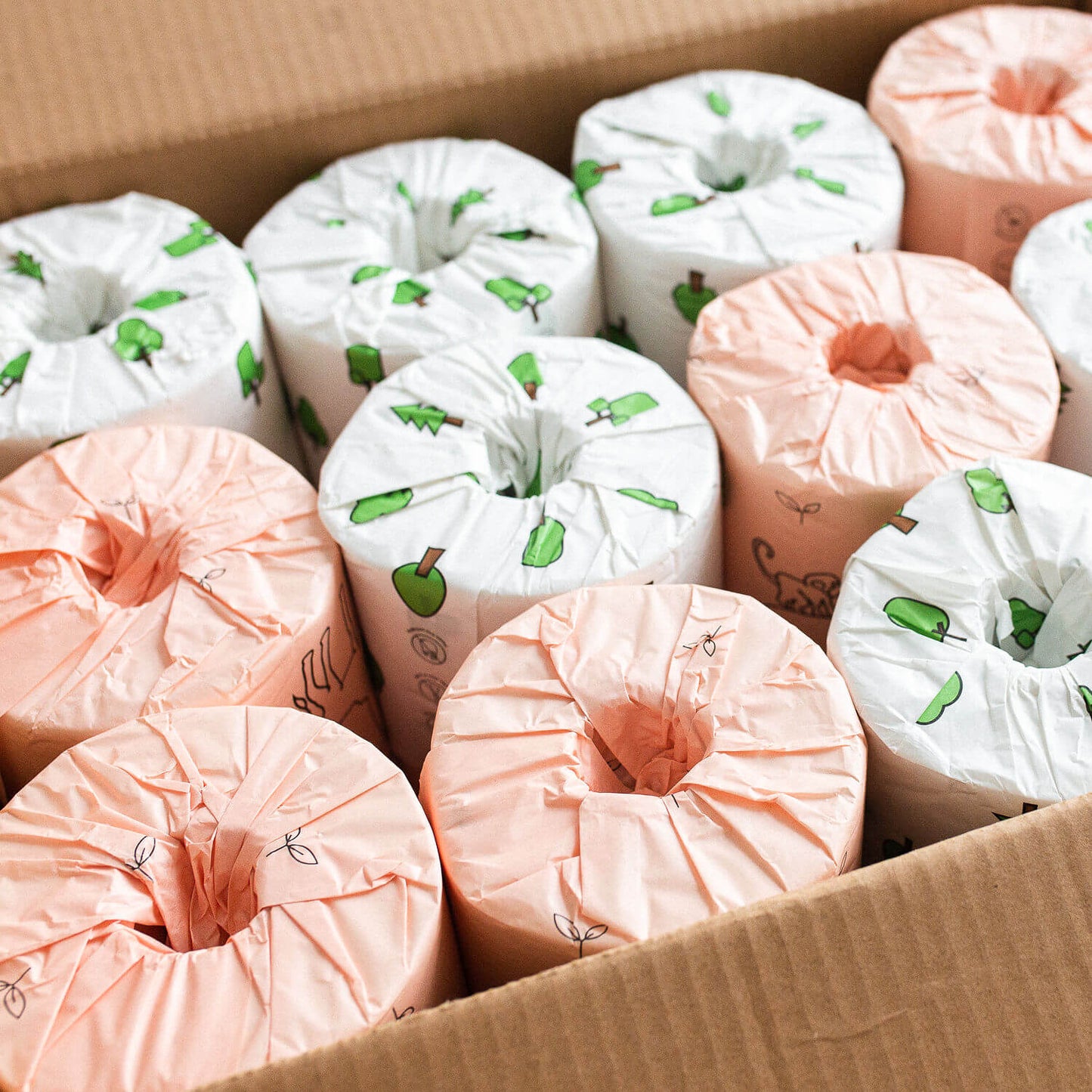 An opened carton box with rolls of individually paper wrapped eco toilet rolls showing. They are branded "the Rollieco"
