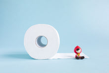 Load image into Gallery viewer, eco toilet paper with a portion unrolled on the ground. A small red toy girl figurine sitting on the unrolled portion.
